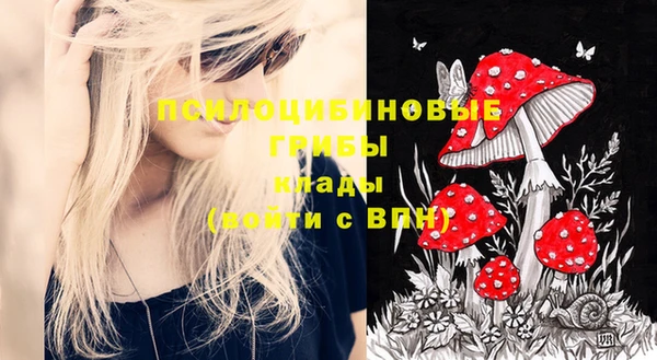 молекула духа Алзамай