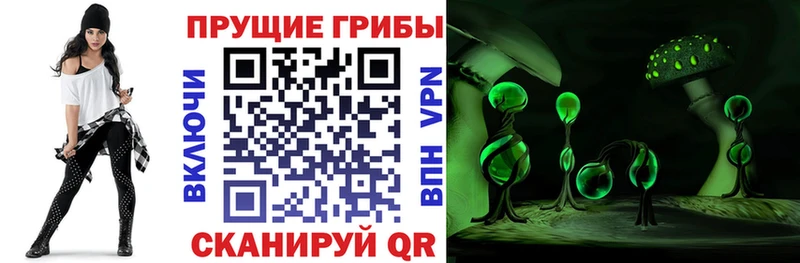 Галлюциногенные грибы Cubensis  продажа наркотиков  Лобня 