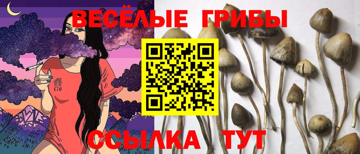 Кодеин Лобня